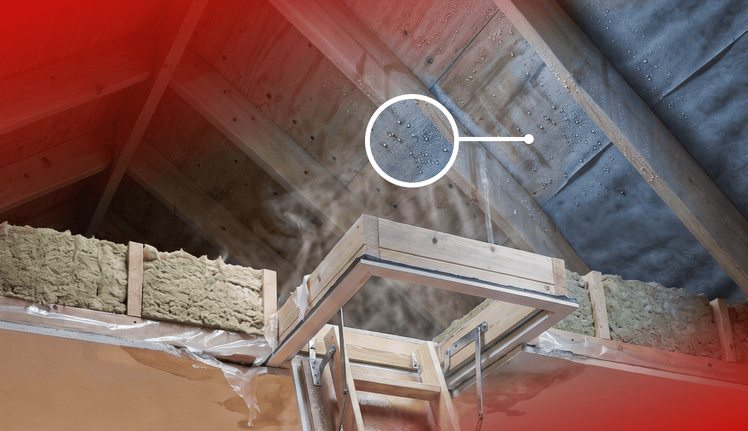 Cum elimini condensul din pod rece: greșeli la trapă, bariera de vapori și scara pentru pod